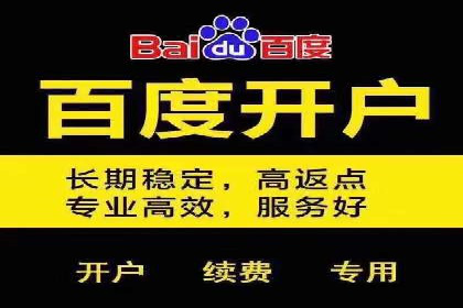 抖音信息流广告在电商行业的应用案例